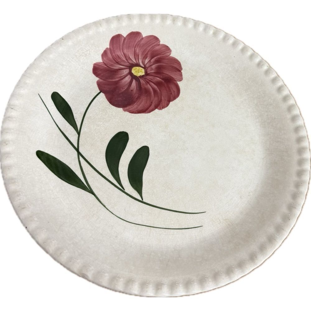 Vintage Blue Ridge‎ Southern Pottery
Mountain Rose Dinner Plate